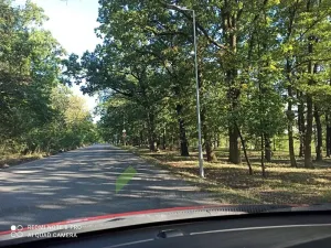 Pronájem bytu 1+kk, Milovice, Topolová, 25 m2