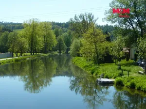 Prodej louky, Náchod, 20490 m2