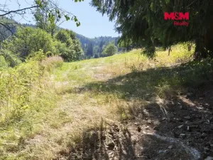 Prodej louky, Halenkov, 1784 m2