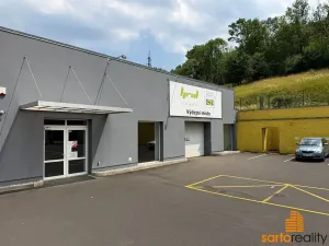 Pronájem obchodního prostoru, Ústí nad Labem, Žižkova, 420 m2