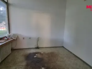 Pronájem obchodního prostoru, Orlová - Lutyně, F. S. Tůmy, 156 m2