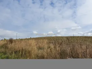 Prodej komerčního pozemku, Osová Bítýška, 12981 m2
