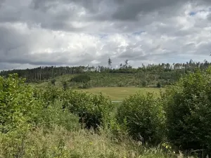 Prodej lesa, Bochovice, 13281 m2