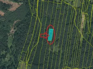 Prodej lesa, Losiná, 2910 m2
