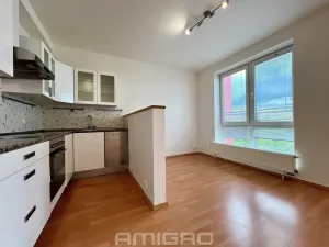Prodej bytu 1+kk, Brno, Blažovická, 38 m2