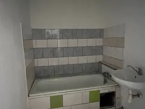Prodej rodinného domu, Břehy, Bahníkova, 198 m2