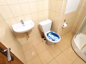 Pronájem bytu 1+1, Písek, nábřeží 1. máje, 42 m2