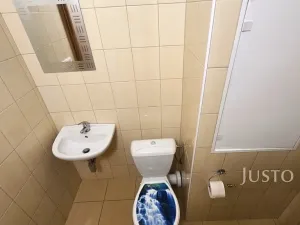 Pronájem bytu 1+1, Písek, nábřeží 1. máje, 42 m2