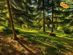 Prodej chaty, Ostravice, 100 m2
