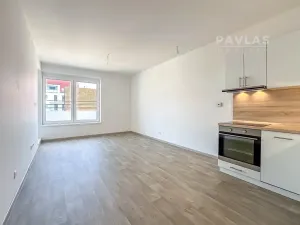 Pronájem bytu 2+kk, České Budějovice, Chelčického, 50 m2