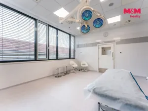 Pronájem komerční nemovitosti, Praha, Jihlavská, 25 m2
