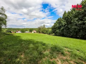 Prodej pozemku pro bydlení, Pec, 7130 m2