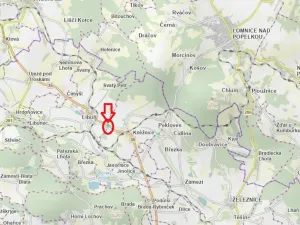 Prodej lesa, Kněžnice, 6851 m2