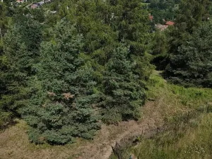 Prodej pozemku, Čtyřkoly, 1671 m2