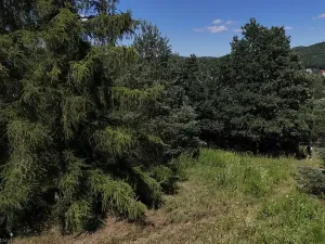 Prodej pozemku, Čtyřkoly, 1671 m2