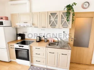 Pronájem bytu 1+kk, Plzeň, Stehlíkova, 39 m2