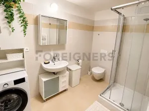 Pronájem bytu 1+kk, Plzeň, Stehlíkova, 39 m2