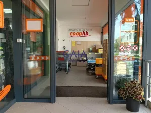 Prodej obchodního prostoru, Velim, Riegrova, 218 m2
