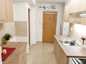 Pronájem bytu 2+kk, Kralupy nad Vltavou, sídl. Hůrka, 39 m2