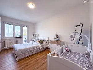 Prodej bytu 3+1, Hodonín, Družstevní čtvrť, 73 m2