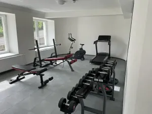 Pronájem bytu 2+kk, Praha - Vinohrady, Perucká, 37 m2