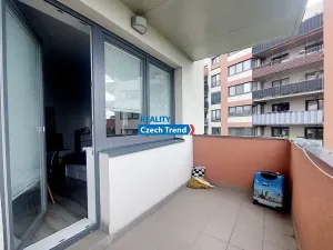 Pronájem bytu 1+kk, Olomouc, Aloise Rašína, 37 m2