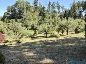 Prodej chaty, Vysoké Mýto, Spálenec, 37 m2
