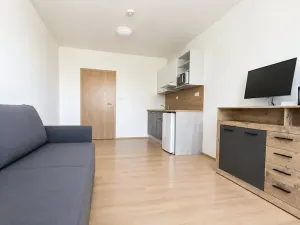 Pronájem bytu 1+kk, Syrovice, 28 m2