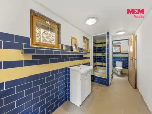 Prodej chaty, Velké Chvojno - Žďár, 77 m2