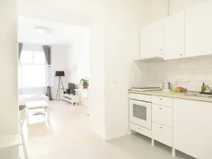 Pronájem bytu 1+kk, Praha - Žižkov, Štítného, 36 m2