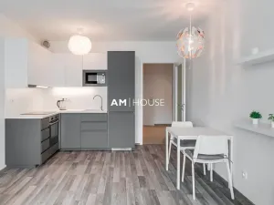 Pronájem bytu 1+kk, Praha - Karlín, Breitfeldova, 32 m2