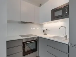Pronájem bytu 1+kk, Praha - Karlín, Breitfeldova, 32 m2