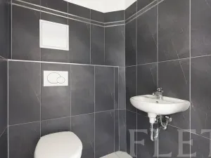 Pronájem bytu 1+kk, Praha - Žižkov, Dalimilova, 50 m2