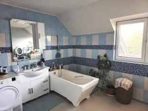 Prodej rodinného domu, Zlonín, Hlavní, 235 m2