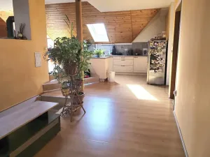 Prodej rodinného domu, Zlonín, Hlavní, 235 m2