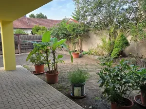 Prodej rodinného domu, Zlonín, Hlavní, 235 m2