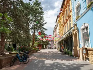 Pronájem činžovního domu, Děčín, Křížová, 80 m2