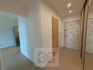 Pronájem bytu 2+kk, Praha - Braník, Údolní, 40 m2