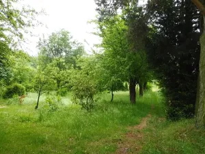 Dražba zahrady, Horní Cerekev, 365 m2