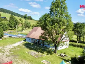 Prodej chalupy, Staré Město - Stříbrnice, 330 m2