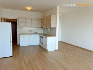 Pronájem bytu 1+kk, Praha - Libeň, Nad Okrouhlíkem, 48 m2