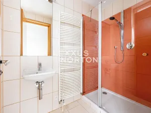 Pronájem bytu 3+1, Praha - Střešovice, Malá, 109 m2