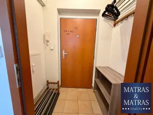 Pronájem bytu 1+kk, Brno, Masná, 35 m2