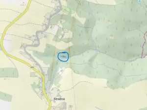 Prodej lesa, Strážná, 589 m2