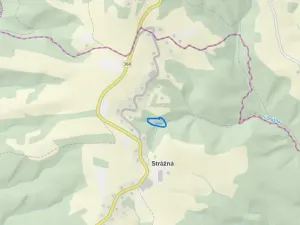 Prodej lesa, Strážná, 615 m2