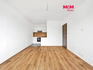 Prodej bytu 2+kk, Teplice, Pražská, 39 m2