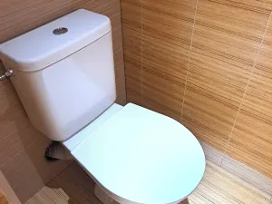 Pronájem bytu 1+kk, Hradec Králové, třída Edvarda Beneše, 30 m2