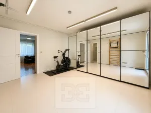 Pronájem vily, Brno, Březinova, 362 m2