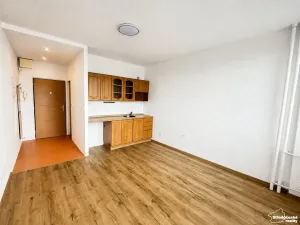 Pronájem bytu 1+kk, Ústí nad Labem, Hoření, 21 m2