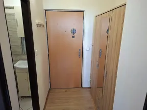 Pronájem bytu 1+kk, Brno, Jedovnická, 20 m2